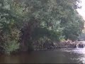 Rio Meda de Mouros