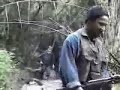 la realite d elqaida en algerie