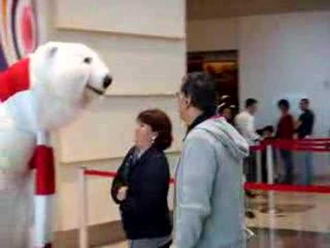 coca cola bears
