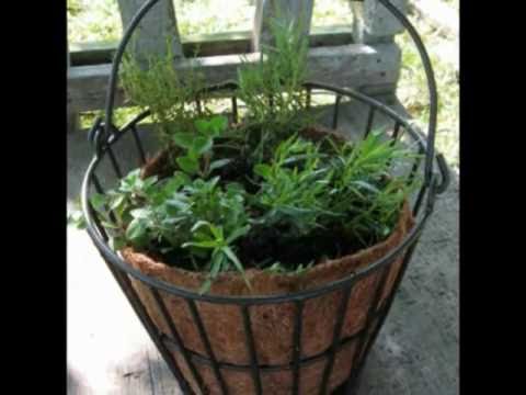 Growing Herbs for Beginners With Containers