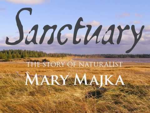 Sanctuary Book Trailer