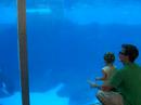 Siyah and Shamu Siyah and Shamu