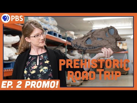 We Dig Dinosaurs | #PrehistoricRoadTripPBS Ep. 2 Promo