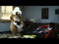 (MTV Ads Spooky Hamster) Hamster Preman.wmv