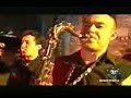 Los kung fu Monkeys - Neglect