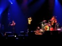 Gogol Bordello, "Morena Tropica: (live in Brazil)