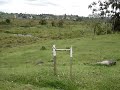 Trabalho de Campo - UNIFIEO - Geografia/2009 Vale do Parateí/SP part 3/6