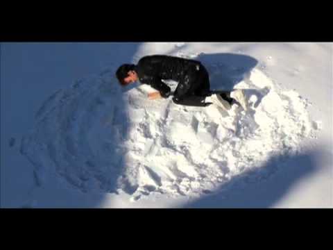 The Felice Brothers - 'Millionaire' [405 Premiere] & Ticket Competition