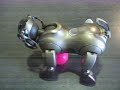 virtual dog!