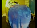 videos Surf