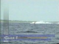 Aquabike 2003