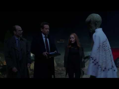 The X-Files: Aliens Build A Wall to keep aliens out.