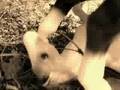 videos de Going Under-Ep6