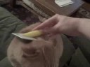 Ulysses wants to brushed