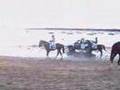 CARRERAS DE CABALLOS
