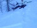 Chute à la neige