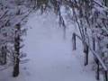 Eleven minutes (not after a novel by P. Coelho), based on a Vysotski song Vershina