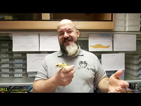 YouTube reptile video
