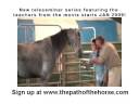 videos de Horse Riding Teleseminar Series - starting Jan 2009