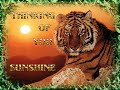 Tony Toni Tone (thinking of you remix on the shanty town riddim).wmv