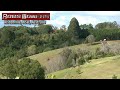 (HD) Gravely Zero Turn Hill Climbing by Robs Mowers Alstonville