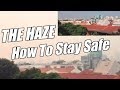 Health Effects of Air Pollution and the Haze in ...