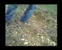 the-fashions-deadboys.html