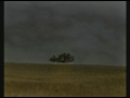 Thunderstorm