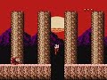 nes 