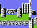 nes 