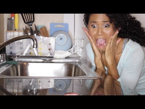 how to get rid of roaches in dishwasher