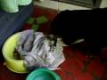 videos de Tchuka ensina: como manter a comida conservada.