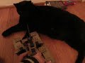 Scorpion Tank VS Catzilla part 2