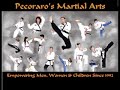 Dynamic Kicking - Pecoraro's Academy Of Martial Arts