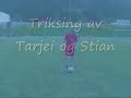 Triksing