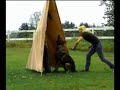 Garry 12 Moth bitework-training