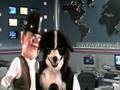 videos de IMMOBILIARE CASA NEWS