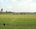 4tal stuyvesantruiters topscore@ St. Johannesga