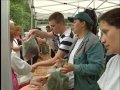 2015-ben is ajándék muskátlit kapnak az újpestiek 2015-ben is ajándék muskátlit kapnak az újpestiek