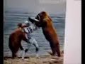 tom-brady-sucks.html