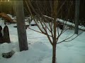 this morning this morning