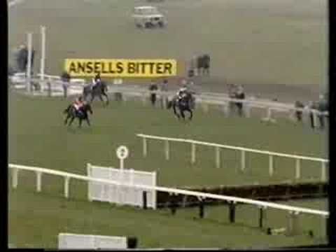 cheltenham gold cup