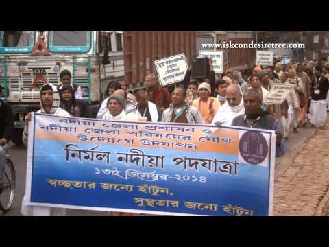 how to help environment