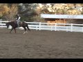 Bless My Dimensions - 2003 Liver Chestnut mare by Reserve World Champion Invested Dimension - Drop dead gorgeous mare, super dark liver chestnut, beautiful headed. Really fancy and a good mover. Started over poles. Contact: DANA HOKANA · 951-302-9463 Email · Located in CA 