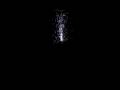 videos de Testeo Particulas D3D7