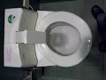 A m?v�szetek cs�sz�je