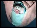 crazy-baby-movies.html