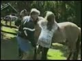 Accidentes Chuscos de Vaqueros