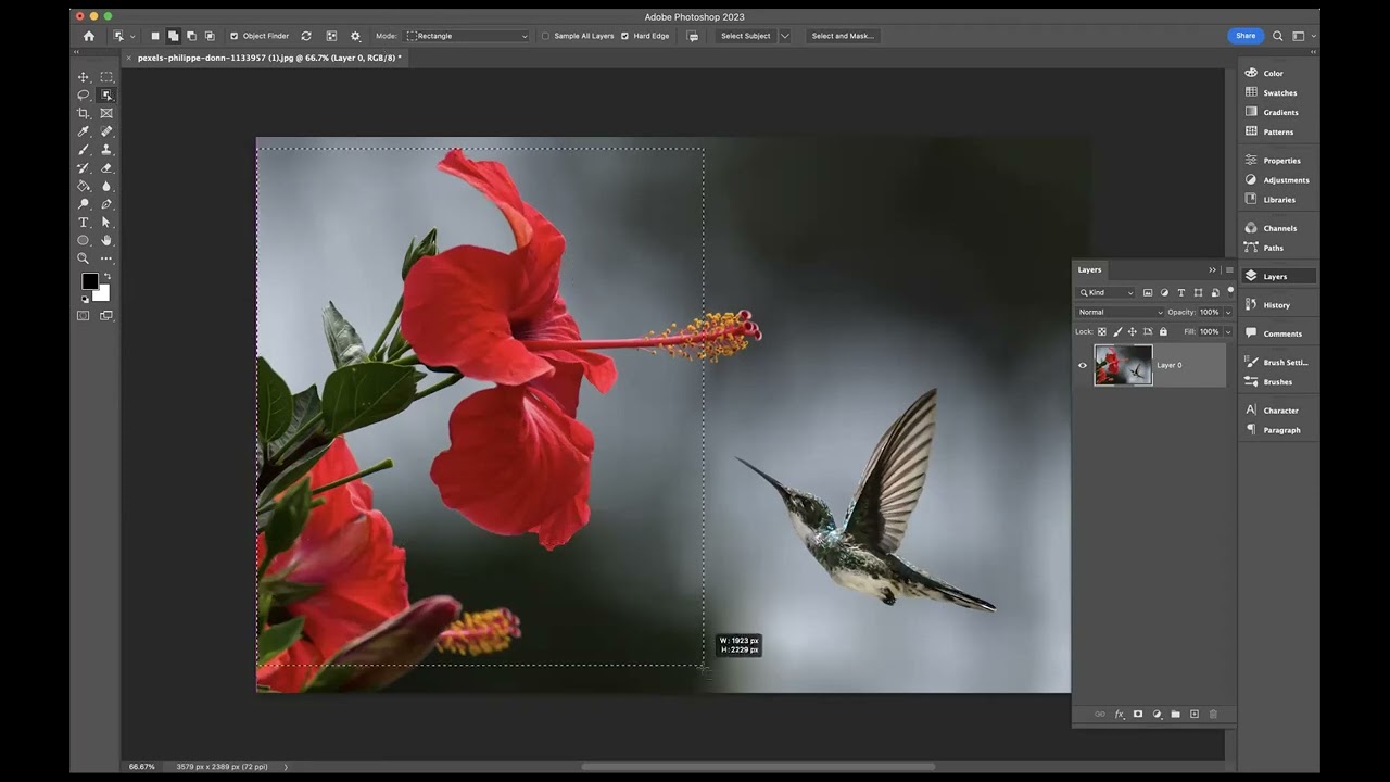 New trick with Object Selection tool - Adobe Photoshop
