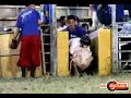 asians riding pigs